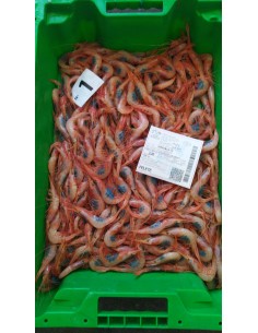 QUISQUILLA  MEDIANA 500 GRAMOS
