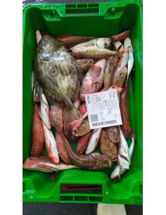 PESCADO DE SOPA GORDA ROCA 1kg