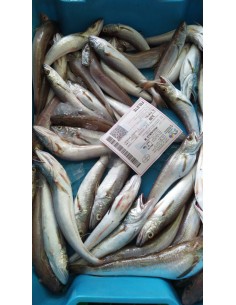 PESCADILLA FRITURA  500 GRAMOS